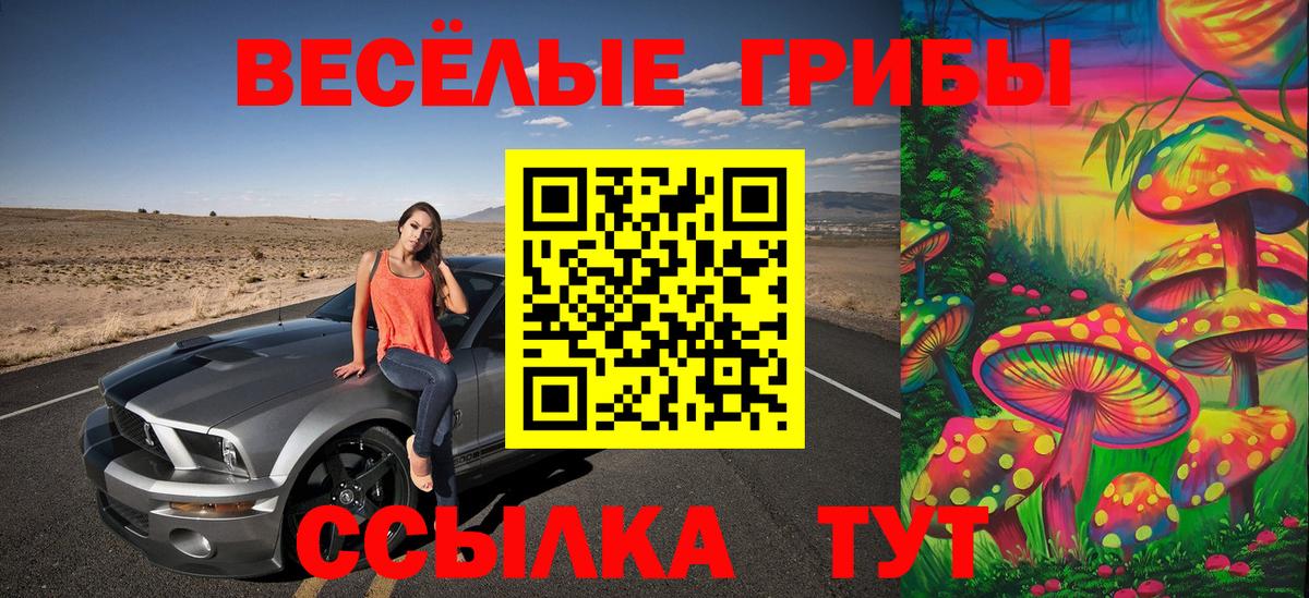 Псилоцибиновые грибы Cubensis Алушта